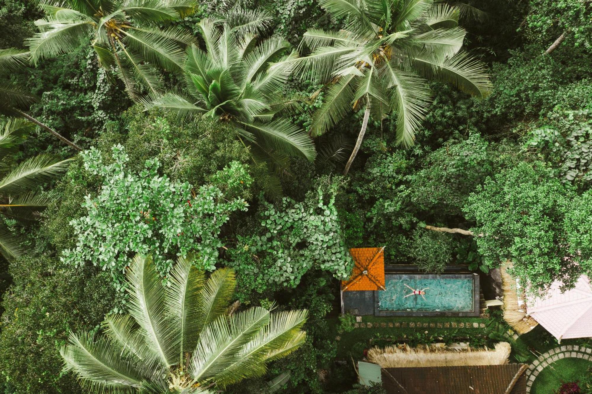 The Nest In Ubud, Bembengan Cottage Экстерьер фото